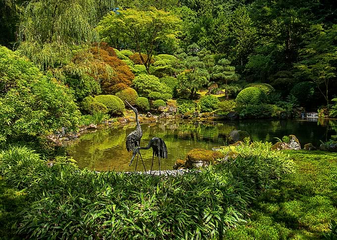 Nature