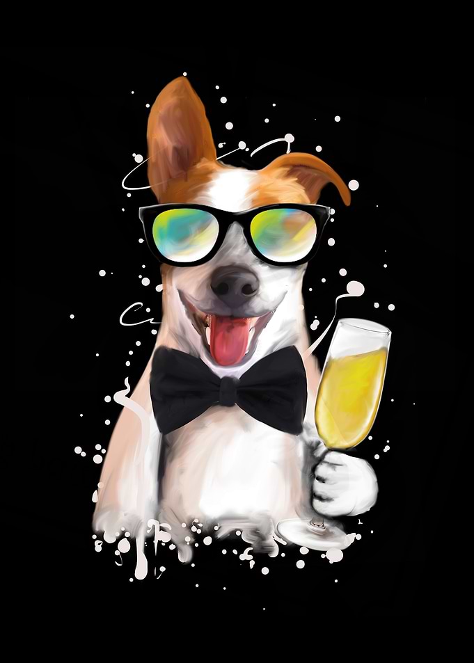 Jack Russell Terrier