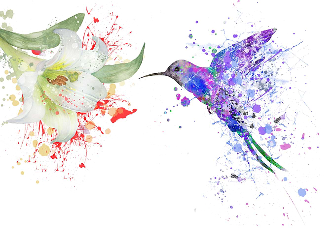 Hummingbird