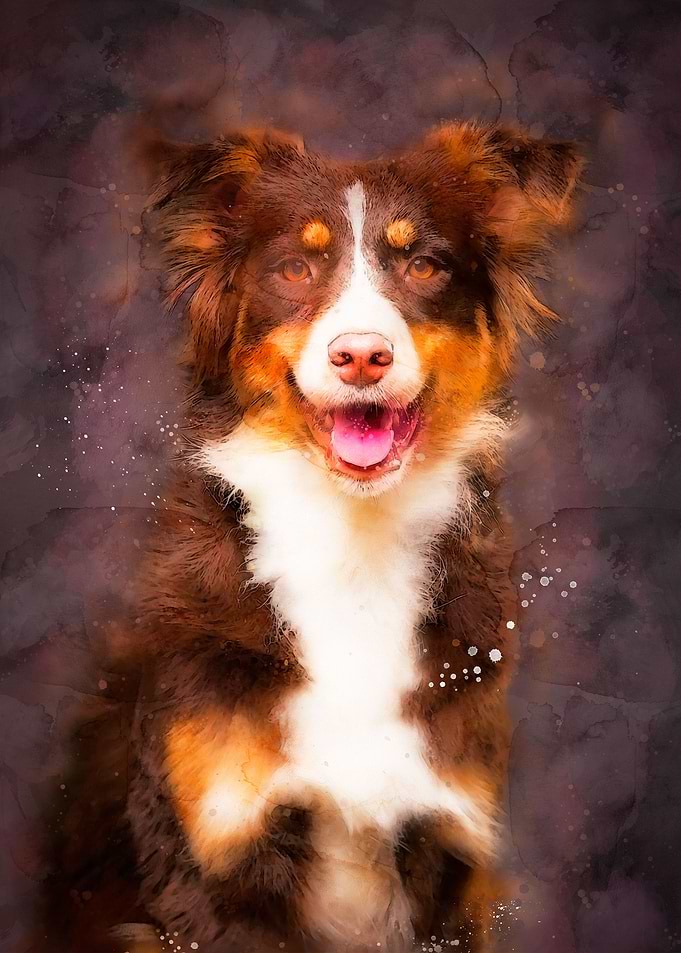 Cute Dog Portrait
