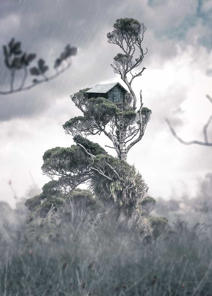 Treehouse