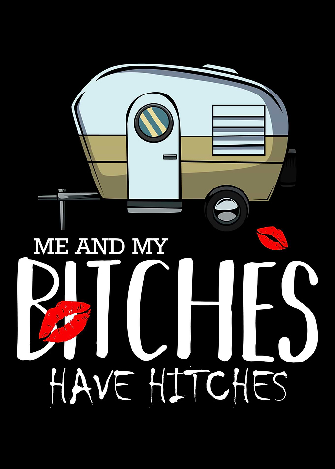 Me And My Bitches Have Hit