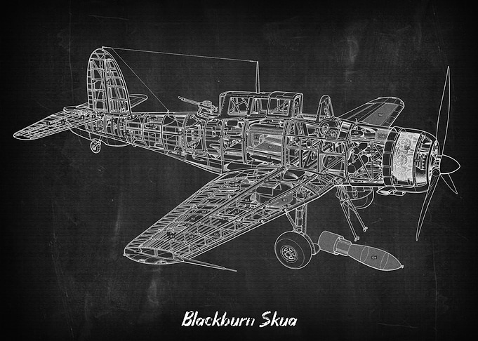 Blackburn Skua