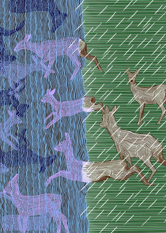 Roes in the rain