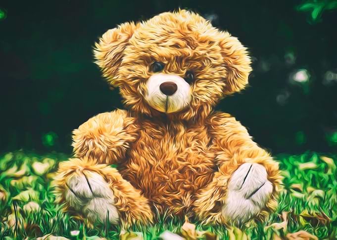 Adorable Teddy