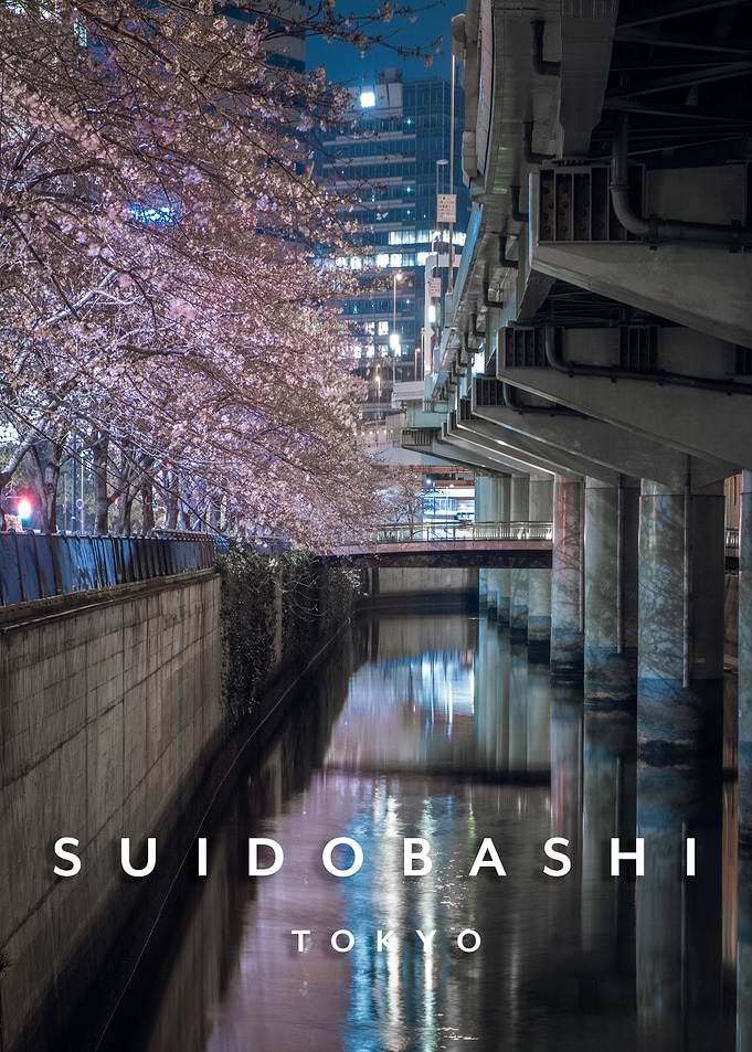 Sakura and highway