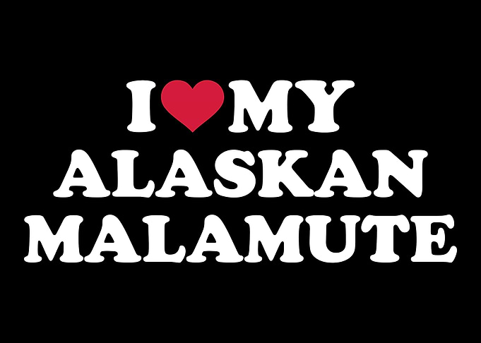 Alaskan Malamute