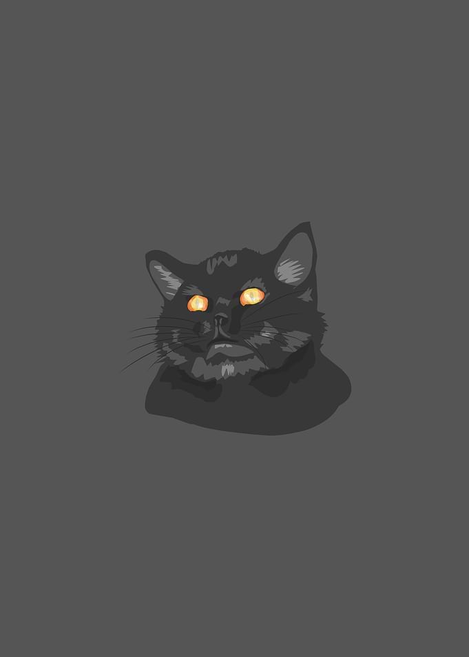Angry cat
