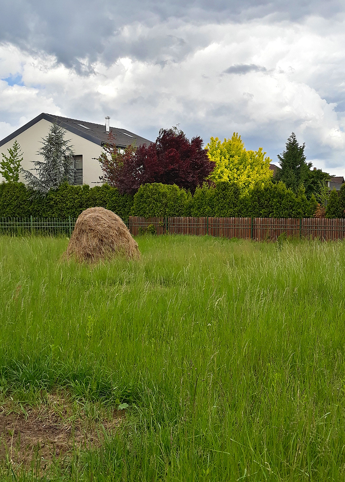Suburbia