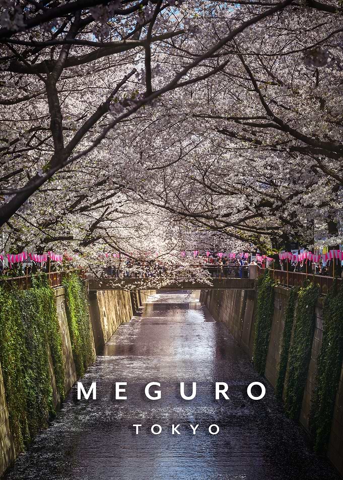 Merugo and Skura