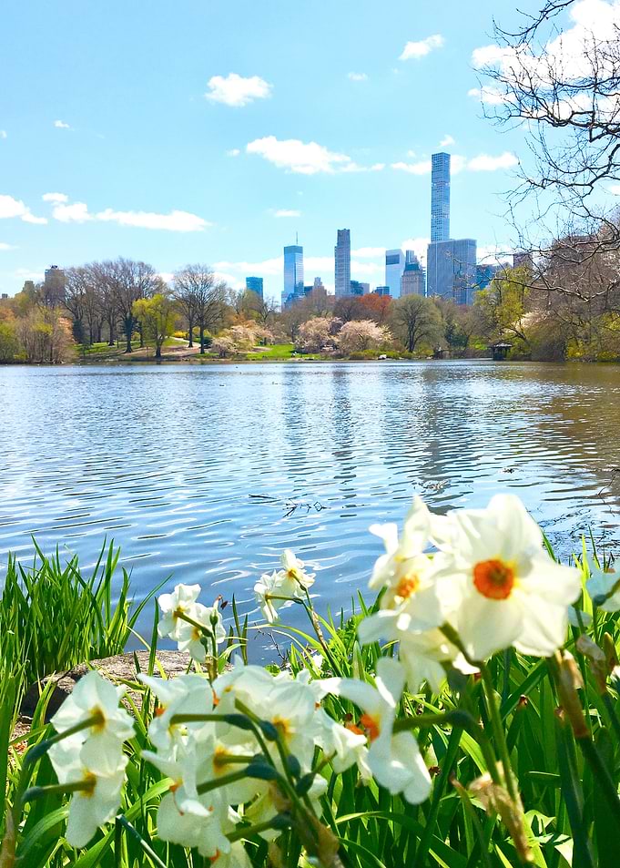 Central Park Lake Spring