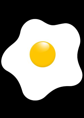 EGGtastic the sunny side