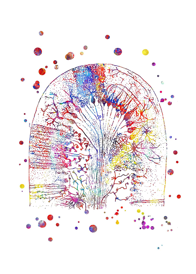 Nerve cells