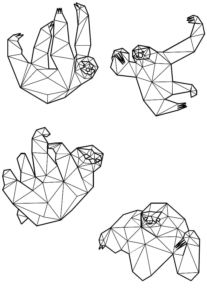 Polygon Sloth