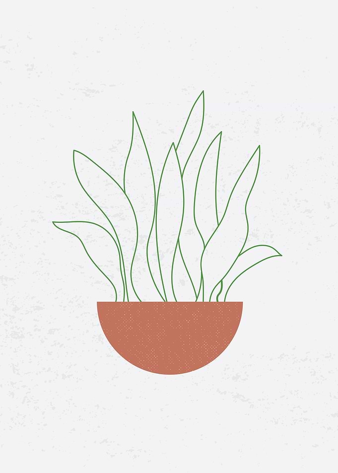 Minimalist Plant 1
