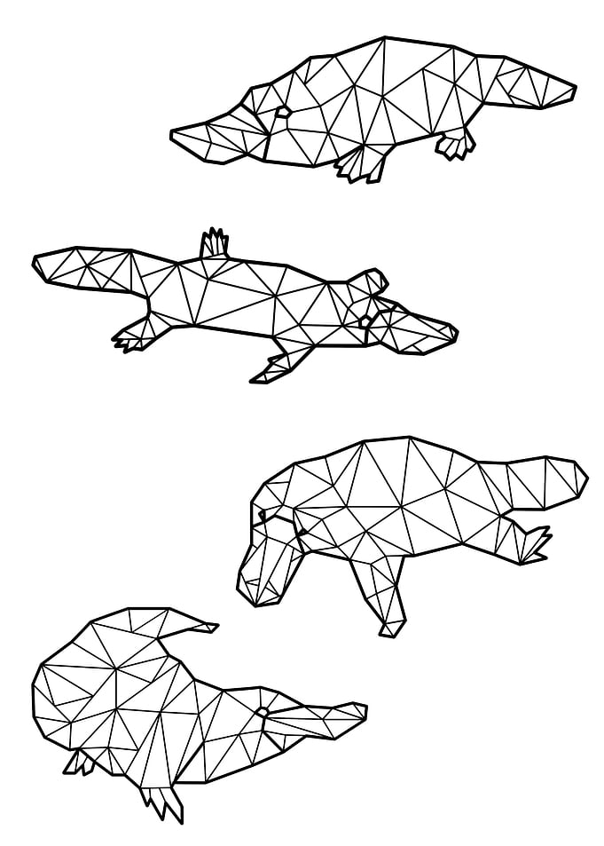 Polygon Platypus