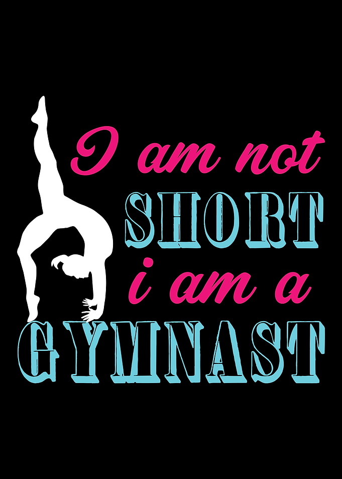 gymnastics Gym Fitness