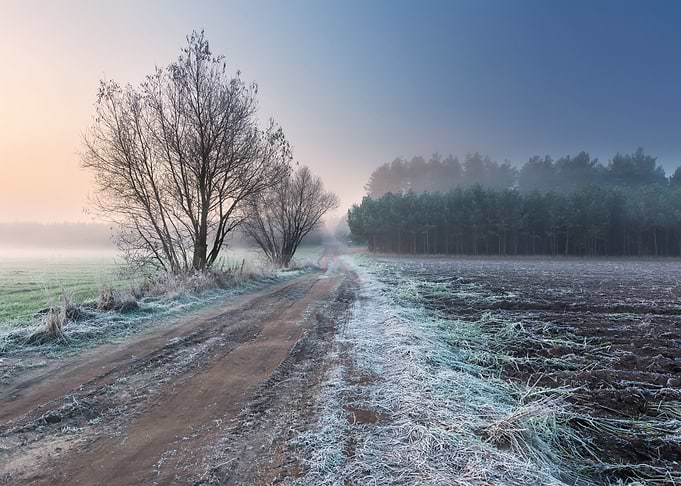 Frosty Frost Rural Season