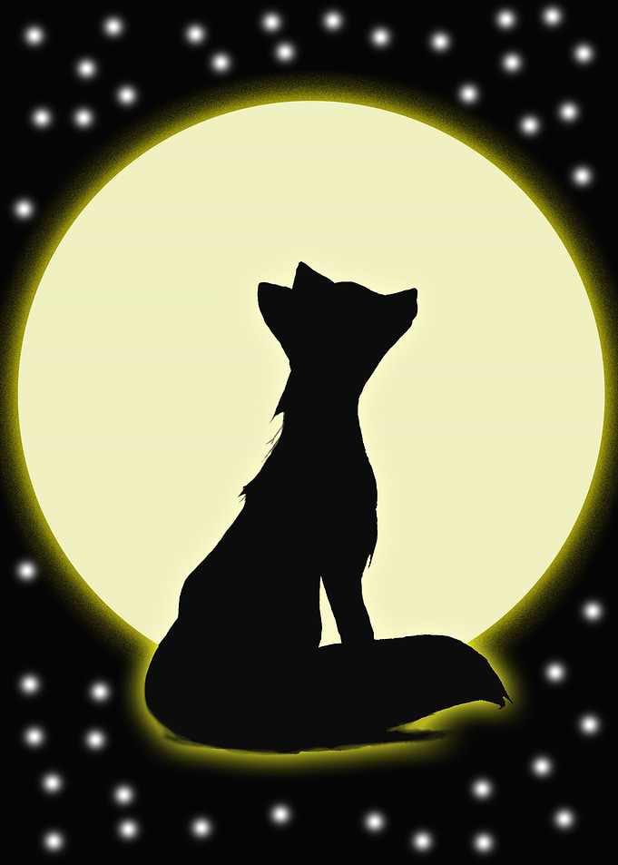 The fox in the night