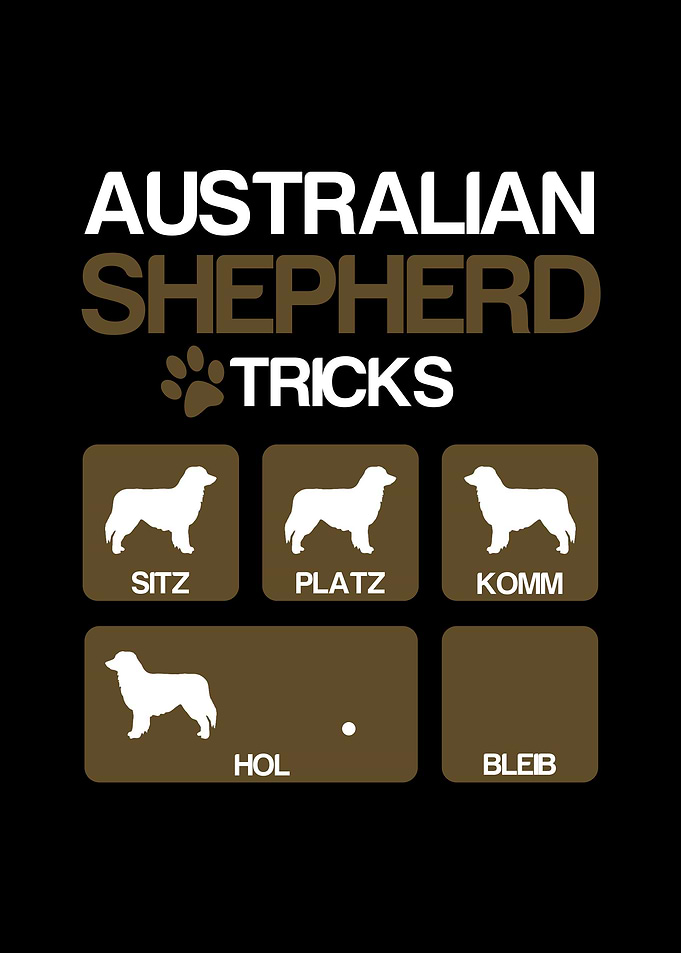 Australian Shepherd Tricks