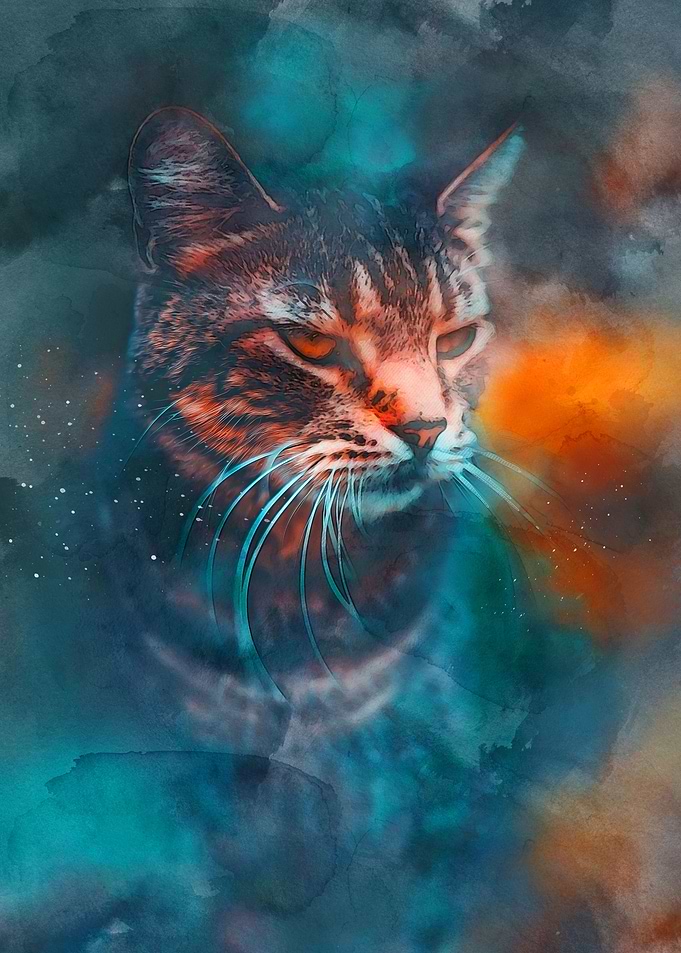 Amazing Proud Cat