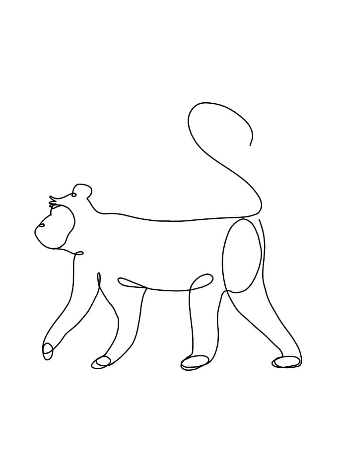 Monkey Poster