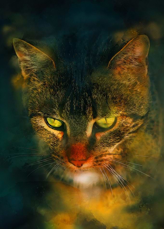 Savannah Fantasy Cat