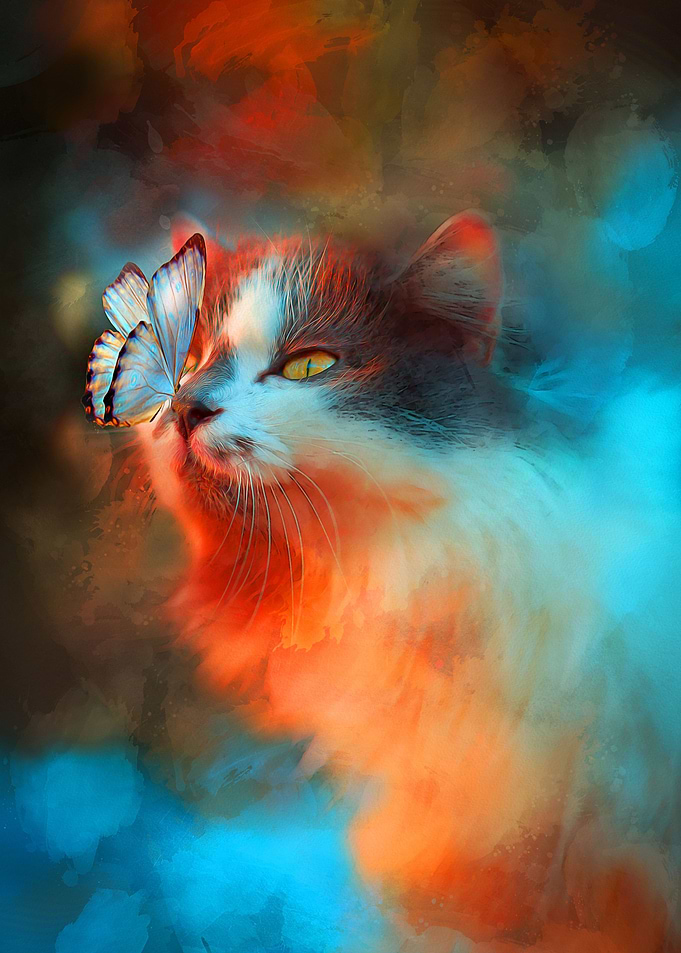 Happy cat with butterfly