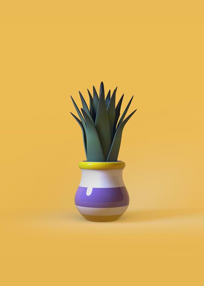 CACTUS 4