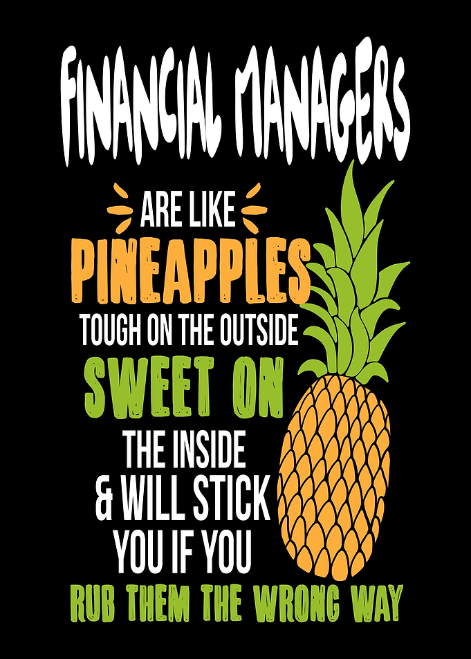 Financial Manager Pineappl