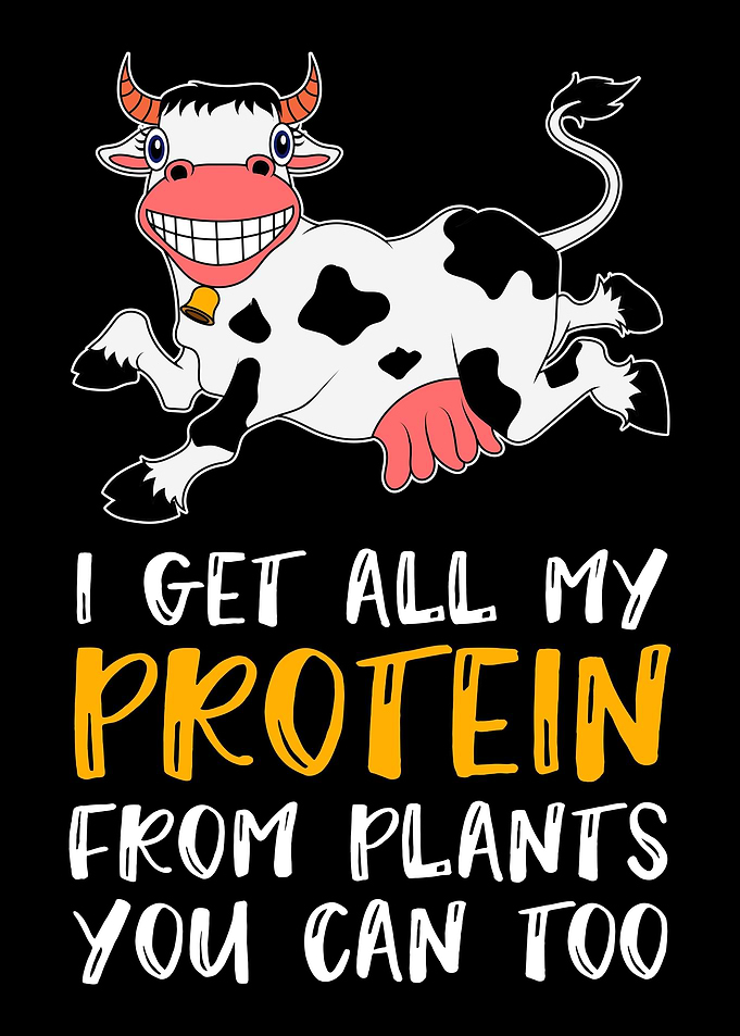 Happy Cow Jumping Around