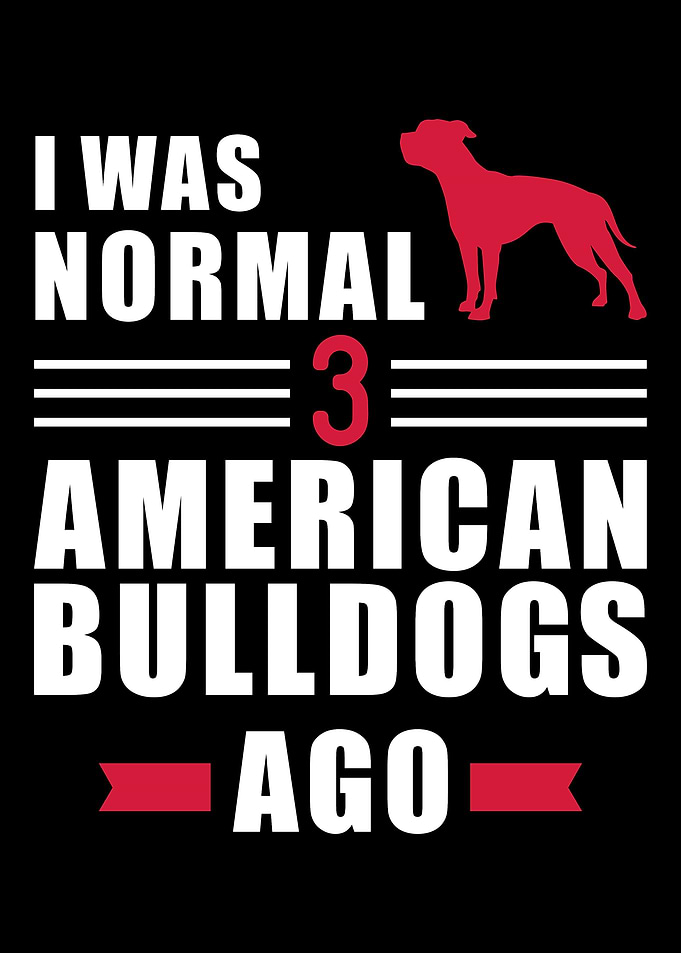 American Bulldog