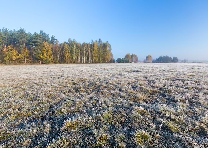 Frosty Frost Rural Season