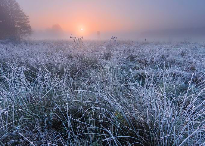 Frosty Frost Rural Season