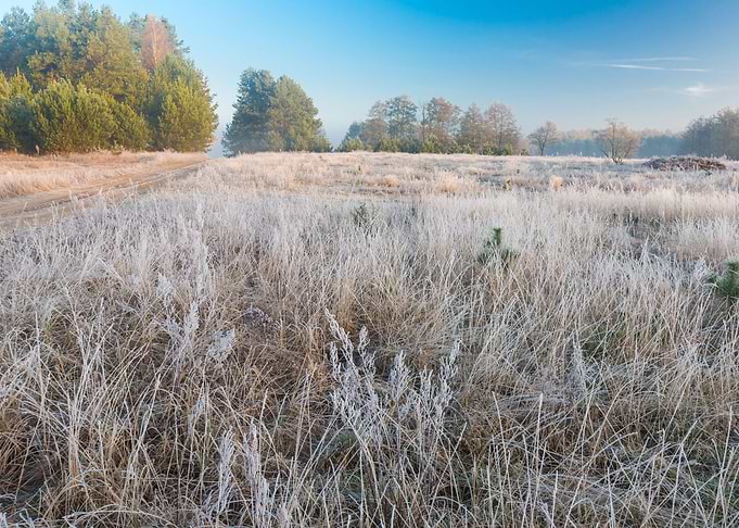 Frosty Frost Rural Season