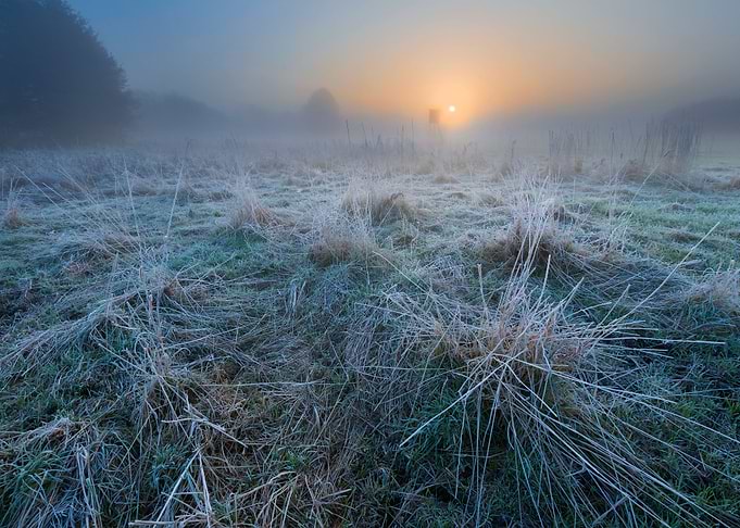 Frosty Frost Rural Season