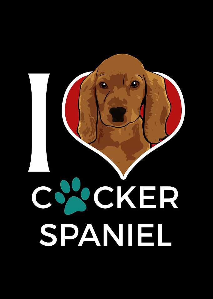 I love Cocker Spaniel