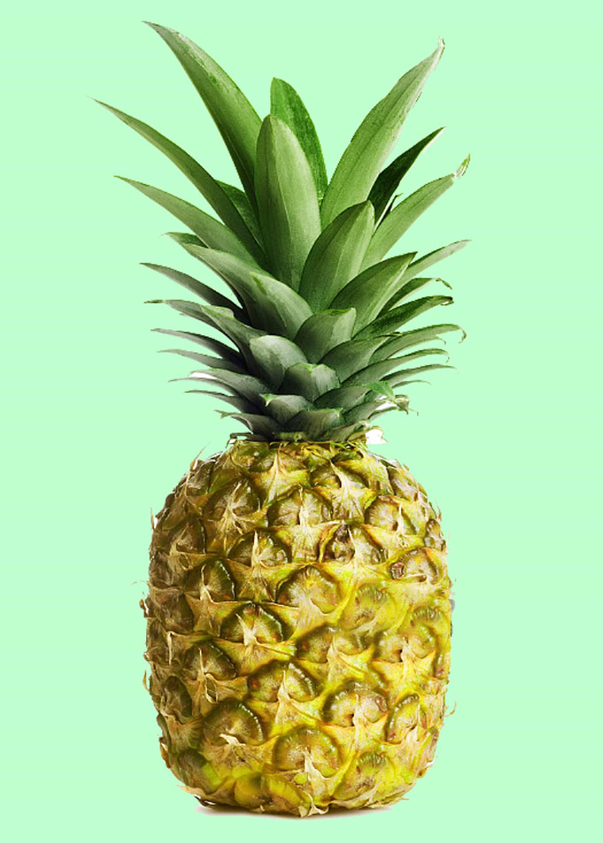 Pineapple exotic Fruit