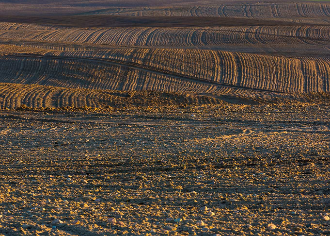 Rural Field Land Nature La