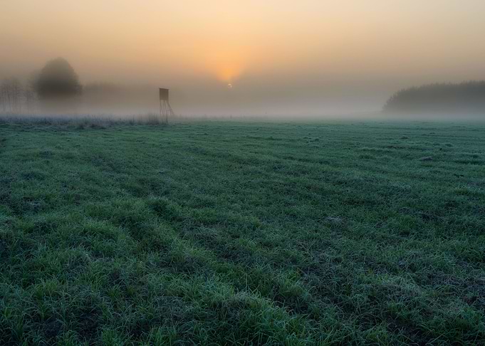Frosty Frost Rural Season