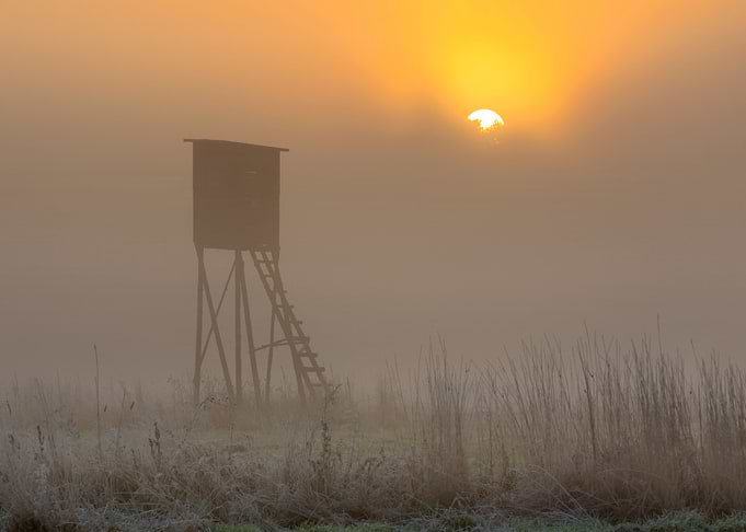 Raised Rural Season Qualit