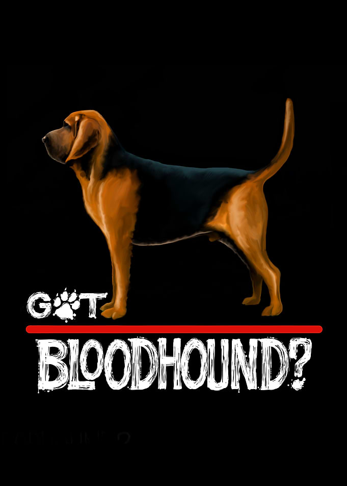 Got Bloodhound Dog