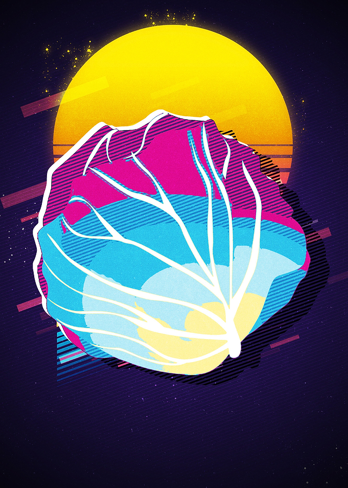 Cabbage