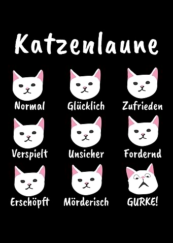 Cats Mood Cats Cat Kittens