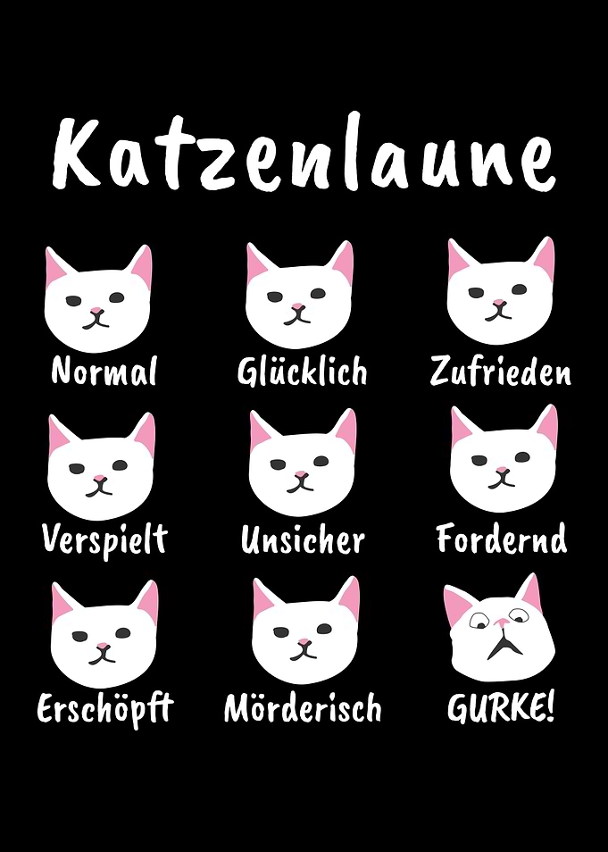 Cats Mood Cats Cat Kittens
