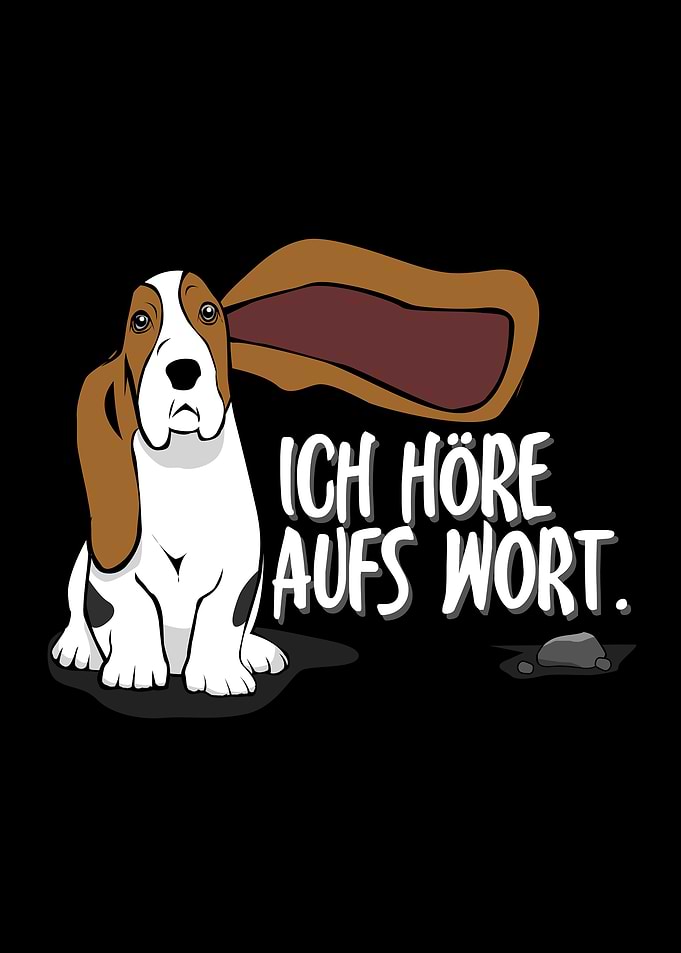 Big Eared Basset Hound