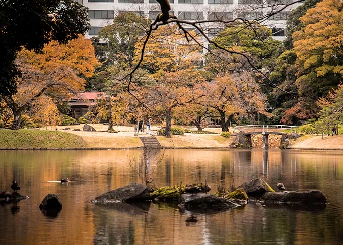 Japanese garden