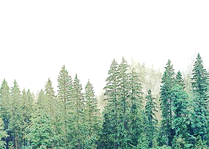 Nature Painting