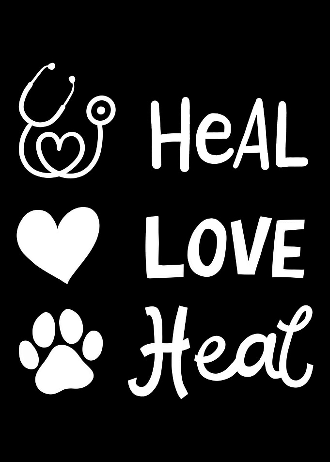Veterinarian Vet Tech