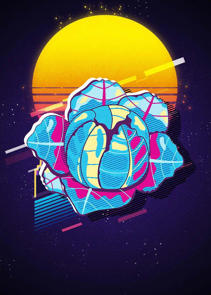 Cabbage
